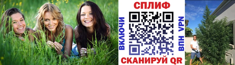 МАРИХУАНА индика  Красково 